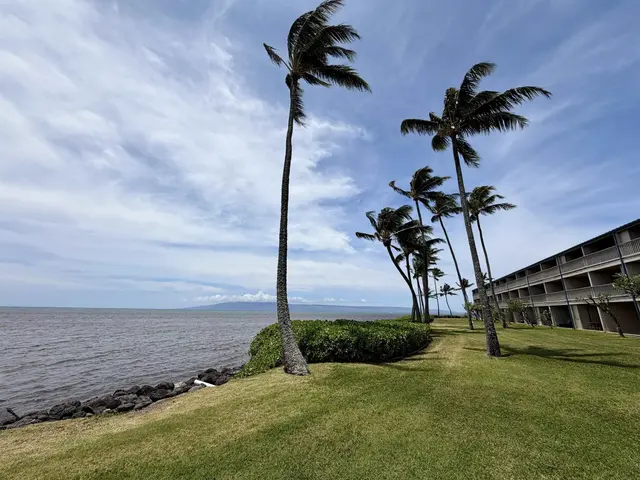 Listing Image for 7142 Kamehameha V Hwy B306 31 of 33
