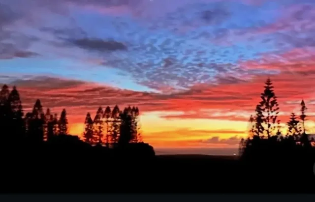 Listing Image for 34 Linohau Pl Lot 458 1 of 10