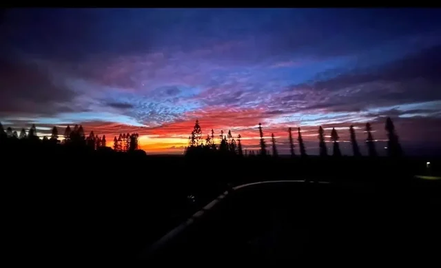 Listing Image for 34 Linohau Pl Lot 458 4 of 10