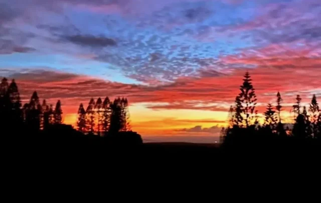 Listing Image for 34 Linohau Pl Lot 458 5 of 10