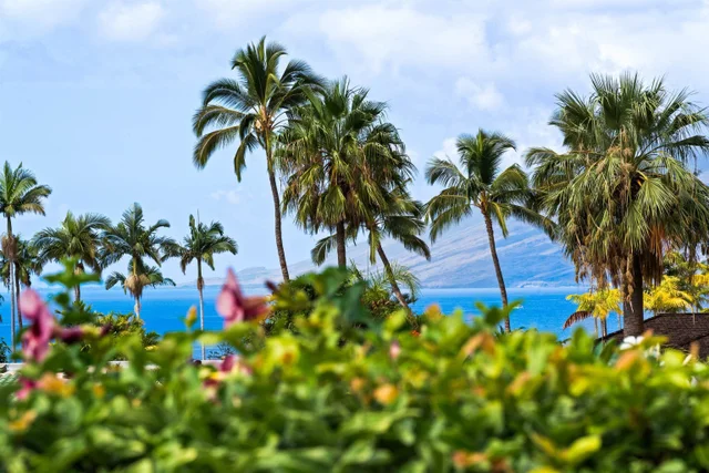 Listing Image for 175 W Ikea Moku Pl 5 of 50