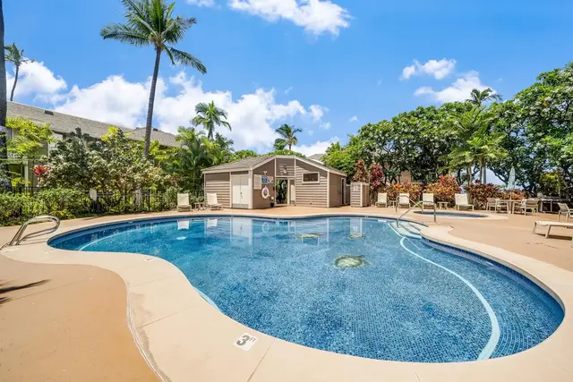 Listing Image for 155 Wailea Ike Pl 10 28 of 49