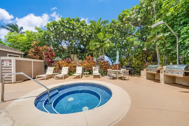 Listing Image for 155 Wailea Ike Pl 10 31 of 49
