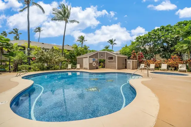 Listing Image for 155 Wailea Ike Pl 10 32 of 49