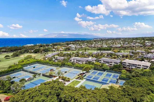 Listing Image for 155 Wailea Ike Pl 10 45 of 49