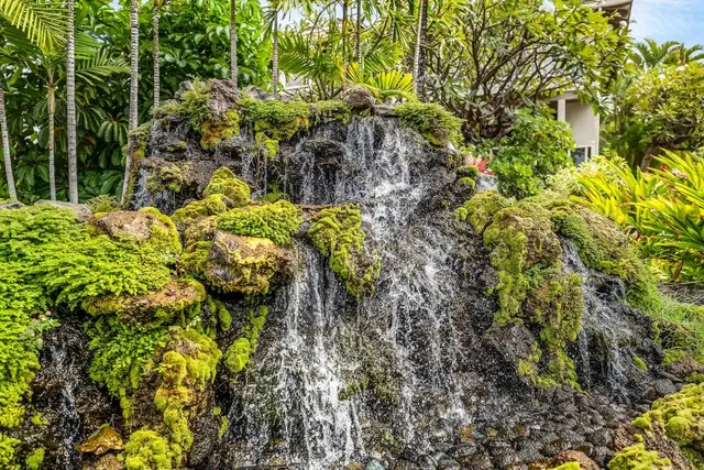 Listing Image for 155 Wailea Ike Pl 10 48 of 49