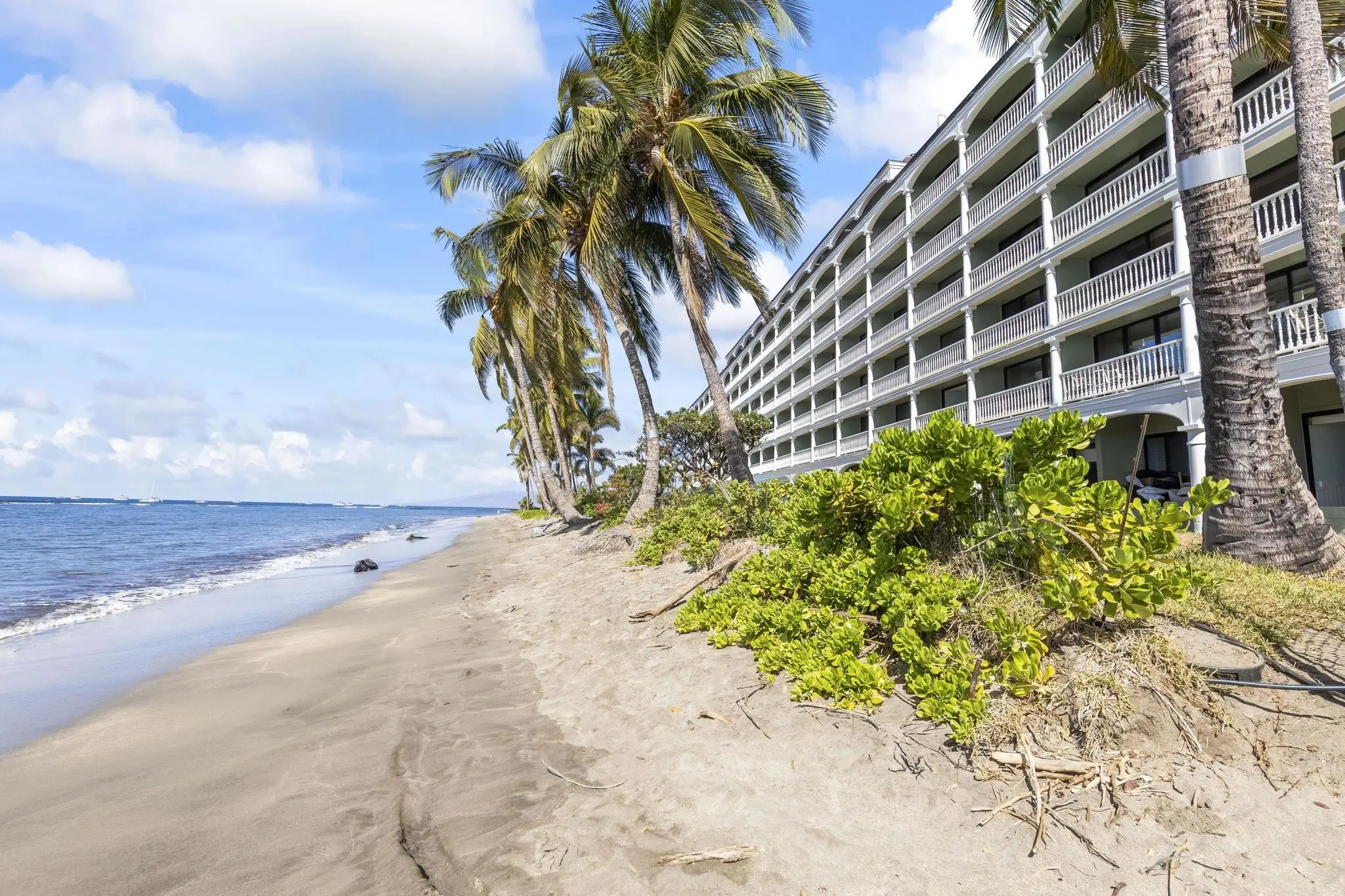 Photo of Listing #406410