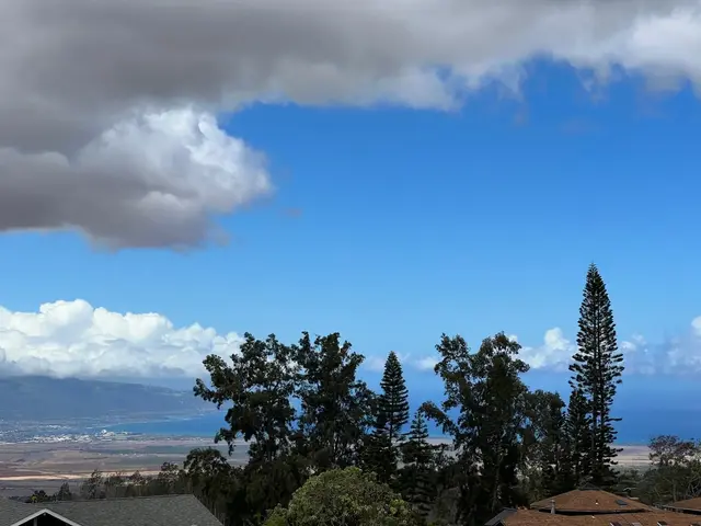 Listing Image for 717 Lower Kimo Dr B 40 of 50