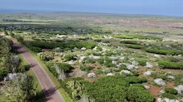 Listing Image for 0 Kalua Koi Rd 47 10 of 18