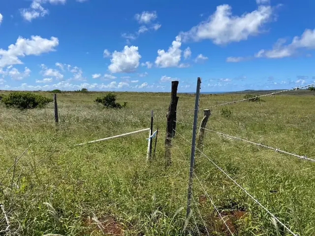 Listing Image for 0 Kalua Koi Rd 47 12 of 18