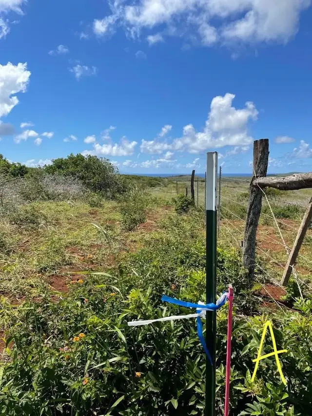 Listing Image for 0 Kalua Koi Rd 47 13 of 18