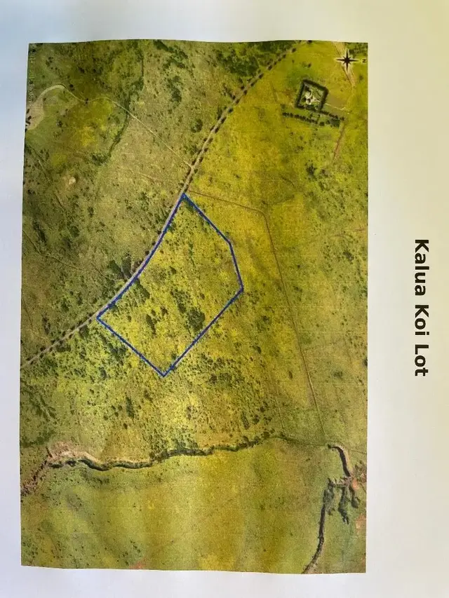 Listing Image for 0 Kalua Koi Rd 47 18 of 18