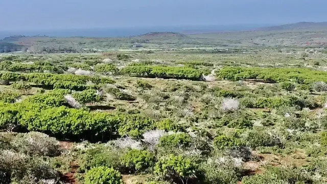 Listing Image for 0 Kalua Koi Rd 47 2 of 18