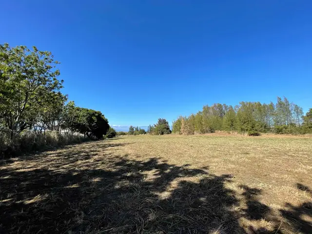 10 Mohala Pl Unit A, Pukalani, 395044 - 3/3