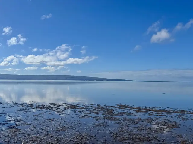 Listing Image for 320 Seaside Pl 1 of 32