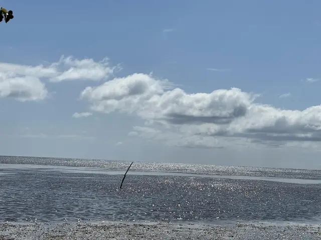 Listing Image for 320 Seaside Pl 10 of 32