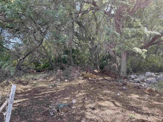 Listing Image for 320 Seaside Pl 17 of 32