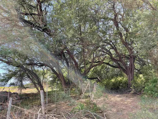 Listing Image for 320 Seaside Pl 20 of 32