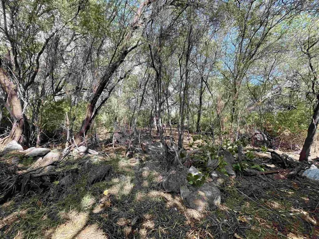 Listing Image for 320 Seaside Pl 21 of 32