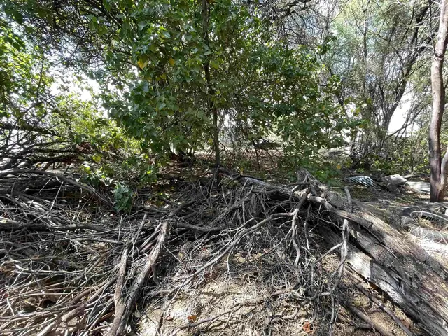 Listing Image for 320 Seaside Pl 22 of 32