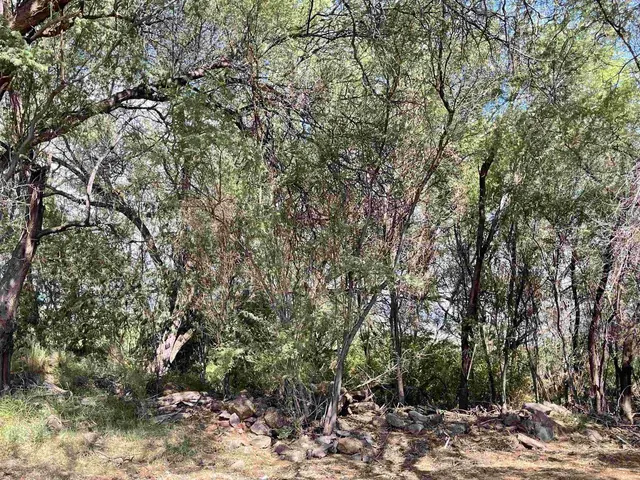 Listing Image for 320 Seaside Pl 24 of 32
