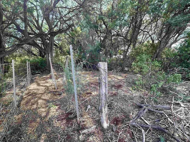 Listing Image for 320 Seaside Pl 28 of 32