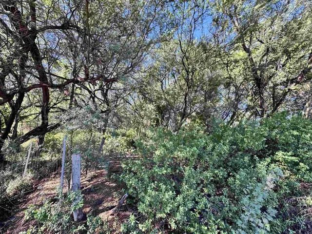 Listing Image for 320 Seaside Pl 30 of 32