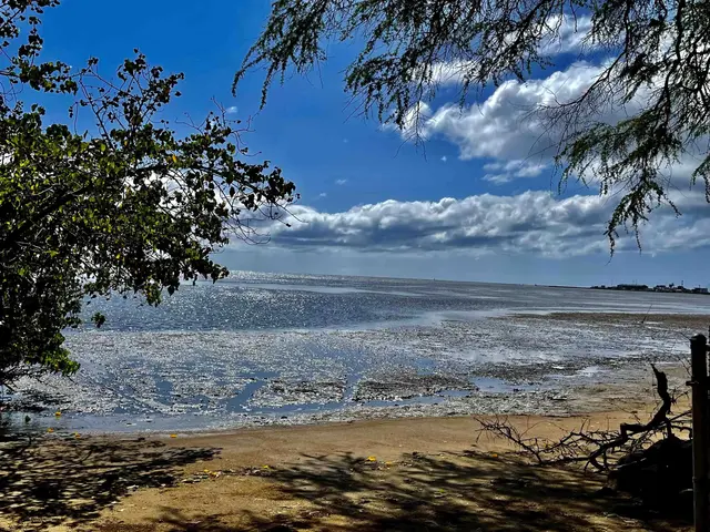 Listing Image for 320 Seaside Pl 4 of 32