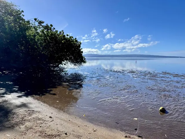 Listing Image for 320 Seaside Pl 5 of 32