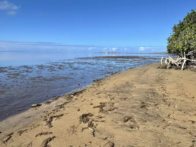 Listing Image for 320 Seaside Pl 6 of 32