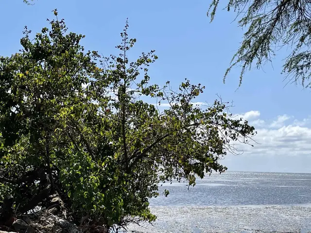 Listing Image for 320 Seaside Pl 9 of 32