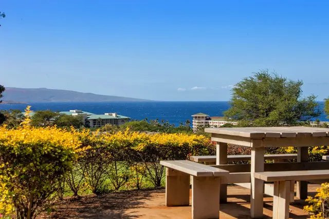 Listing Image for 10 Wailea Ekolu Pl 1305 32 of 45