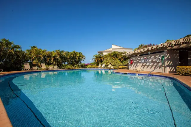 Listing Image for 10 Wailea Ekolu Pl 1305 37 of 45
