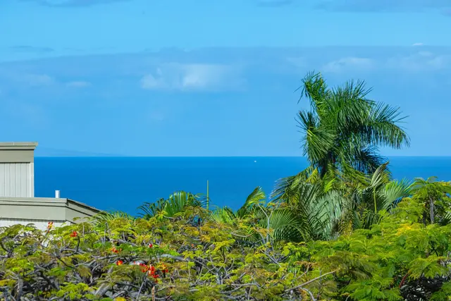 Listing Image for 10 Wailea Ekolu Pl 1305 40 of 45