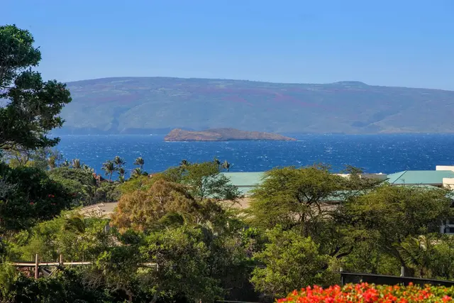 Listing Image for 10 Wailea Ekolu Pl 1305 44 of 45