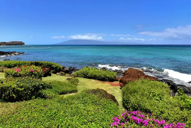 Listing Image for 3975 Lower Honoapiilani Rd 204 41 of 50