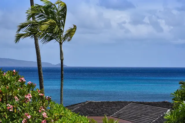 Listing Image for 20 Hui Rd I 2 22 of 50