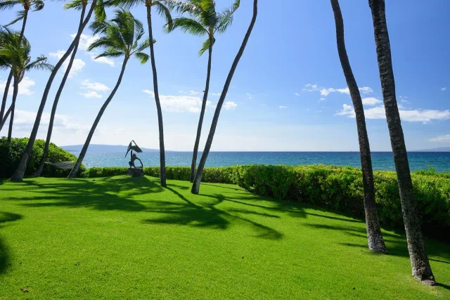 Listing Image for 3254 S Kihei Rd 23 of 32