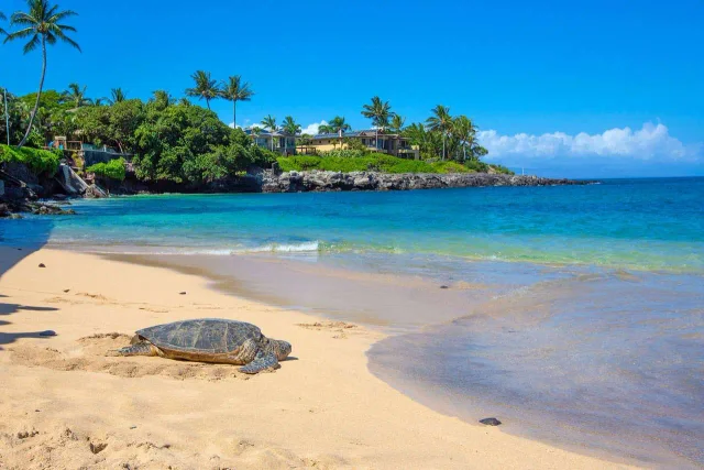 Listing Image for 4909 Lower Honoapiilani Rd B3b 21 of 29