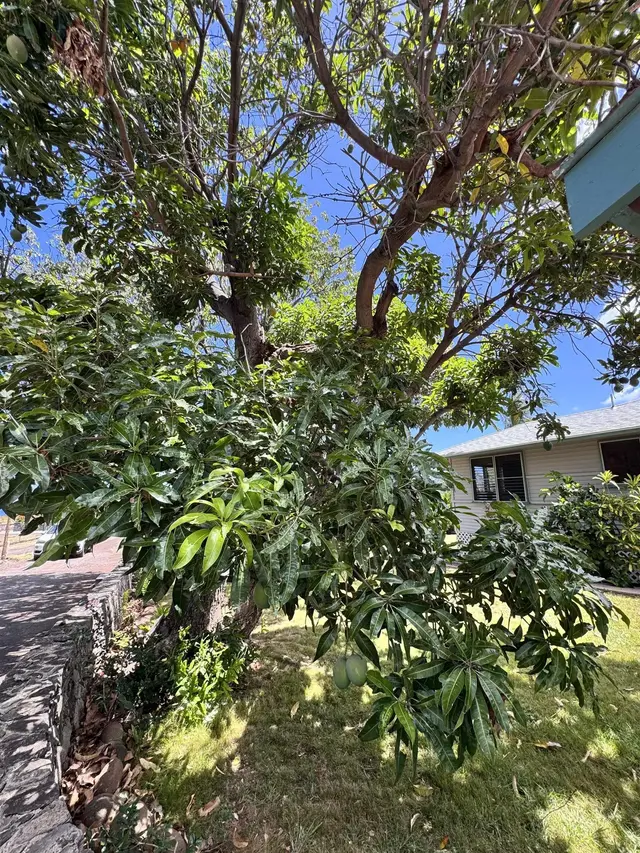 Listing Image for 265 Aahi Pl 41 of 43
