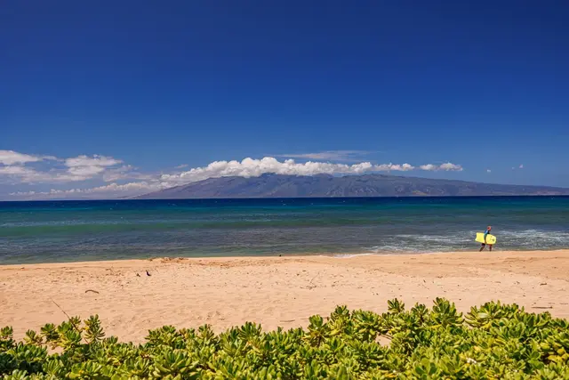 Listing Image for 3445 Lower Honoapiilani Rd 738 10 of 18