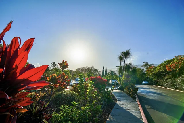 Listing Image for 2531 S Kihei Rd D 410 46 of 50