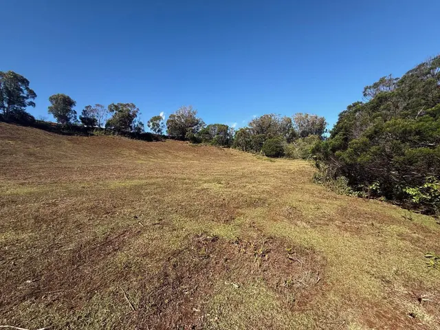 Listing Image for 0 Makawao Ave 1 of 4