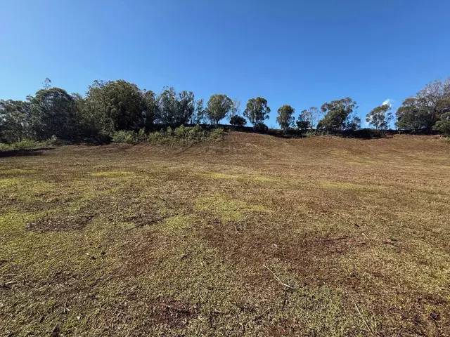 Listing Image for 0 Makawao Ave 2 of 4