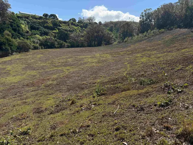 Listing Image for 0 Makawao Ave 3 of 4