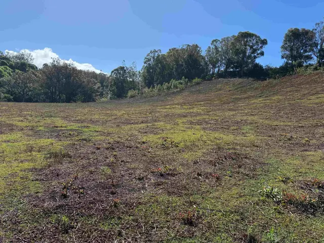Listing Image for 0 Makawao Ave 4 of 4