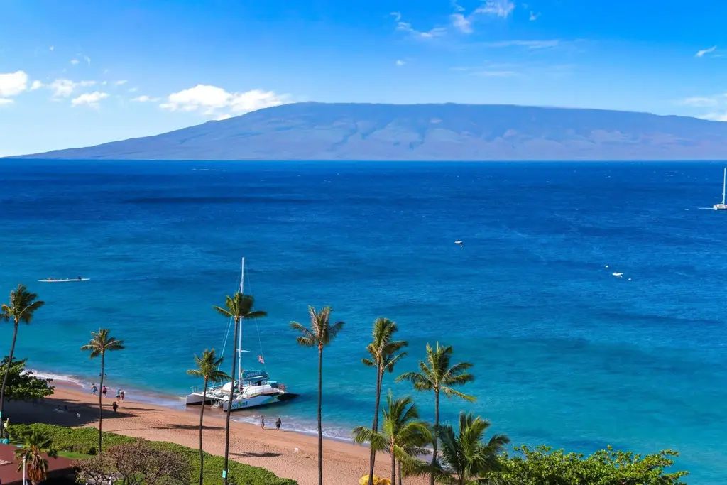 2481 Kaanapali Pkwy 1165, Kaanapali