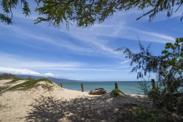 Listing Image for 1050 Kapukaulua Pl 38 of 42