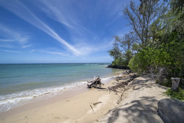Listing Image for 1050 Kapukaulua Pl 39 of 42