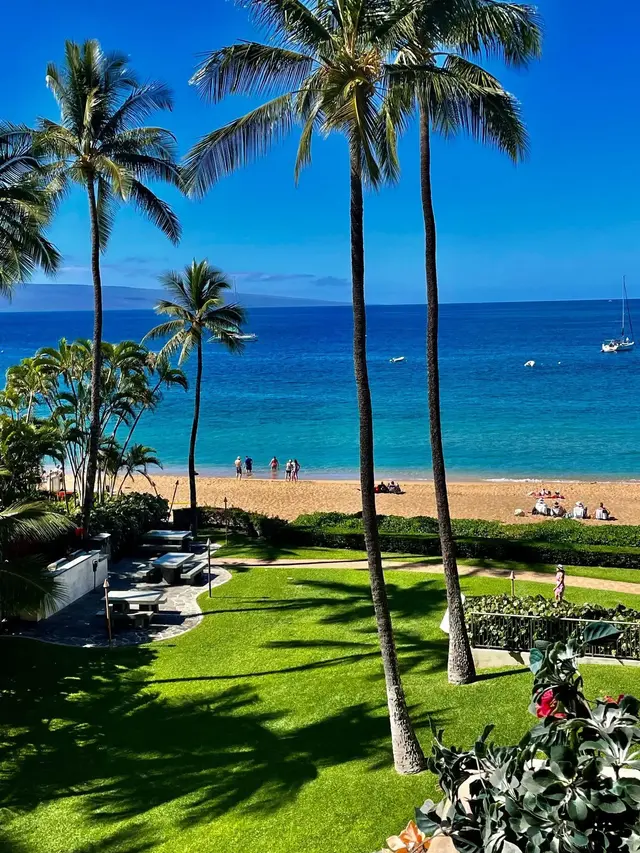 Whaler 461P - 2481 Kaanapali Pkwy 461p, Kaanapali, 400183 - 2/20